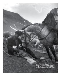 La transhumance de Marcel Coen : du pays d'Arles au Mercantour