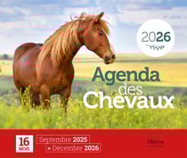 Agenda des chevaux 2026