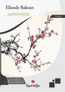 Amphithéâtre