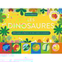 Trouve et découvre : Dinosaures