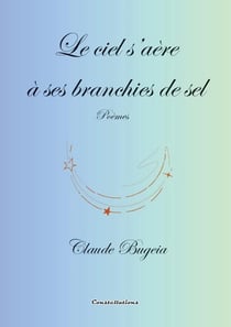 Le ciel s'aère à ses branchies de sel