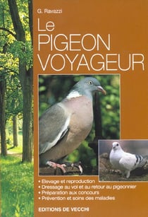 Pigeon voyageur (le)