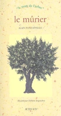 Le mûrier