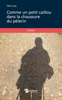 Comme un petit caillou dans la chaussure du pèlerin