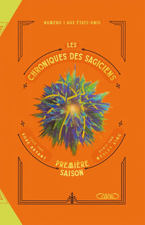 Les chroniques des sagiciens Tome 2 : première saison