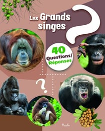40 questions/réponses : Les grands singes