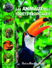 Tout un monde en photos : Les animaux des forêts tropicales
