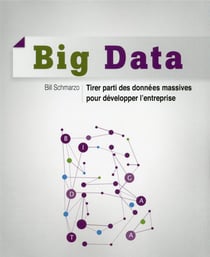 Big data - tirer parti des donnees massives pour développer l'entreprise