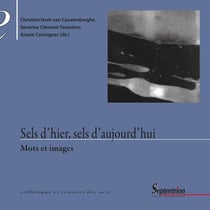 Sels d'hier, sels d'aujourd'hui : Mots et images