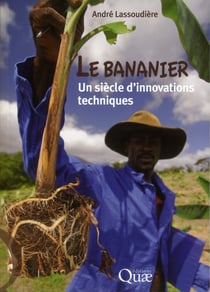 Le bananier : un siècle d'innovations techniques