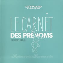 Le carnet des prénoms - les 100 prénoms du carnet et les 100 qui auraient pu y être