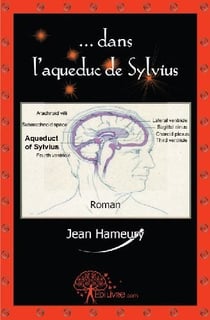 ...dans l'aqueduc de sylvius