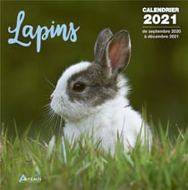 Calendrier lapins 2021