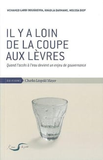 Il y a loin de la coupe aux lèvres - quand l'accès à l'eau devient un enjeu de gouvernance