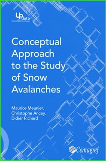 Conceptual approach to the study of snow avalanches