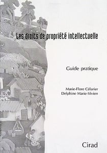 Les droits de propriété intellectuelle - guide pratique