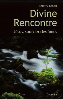 Divine rencontre - Jésus sourcier des âmes