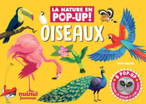 La nature en pop-up ! : Oiseaux