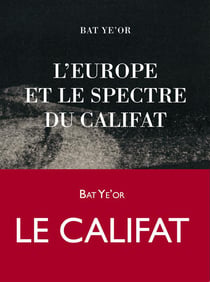 L'Europe et le spectre du califat