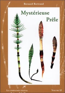 Mystérieuse prêle