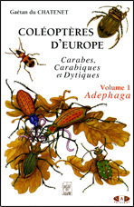 Coléoptères d'Europe, carabes, carabiques et dyptiques t.1 - volume 1: adephaga