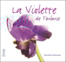 La violette de Toulouse