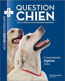 Question chien - mon guide vétérinaire