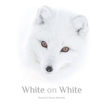 White on White / Blanc sur Blanc