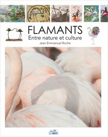 Flamant