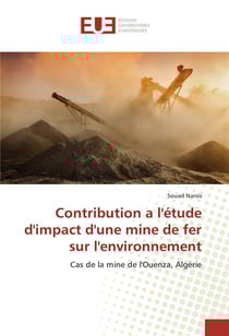 Contribution a l'etude d'impact d'une mine de fer sur l'environnement