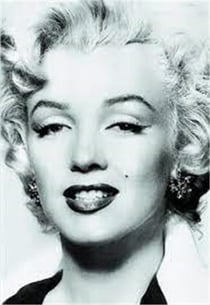 Silver Marilyn : Marilyn Monroe and the camera