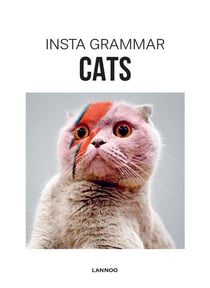 Insta grammar - cats