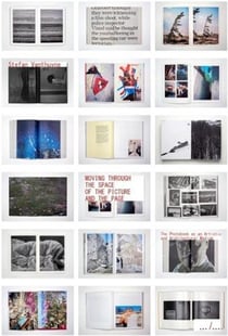 Stephan Vanthuyne : moving to the space of the picture