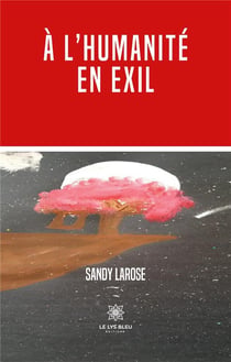 À l'humanité en exil