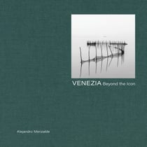 Venice : Beyond the Icon