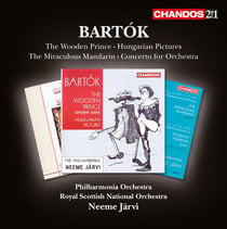 Bartok / orchestral works