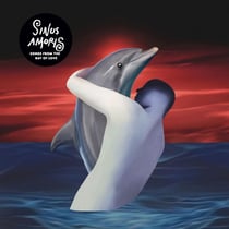 Sinus Amoris