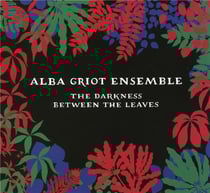 The darkness between the leaves