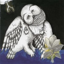 The magnolia electric co