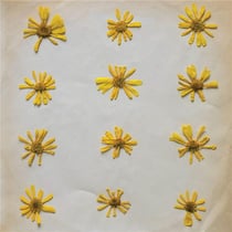 Flowers in the spring
