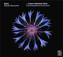 The Brandenburg concertos
