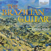 The Brazilian guitar