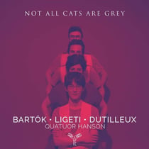Not All Cats Are Grey