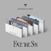 Face The Sun