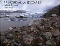 Feodor pitcairn primordial landscapes