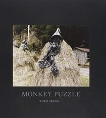 Yoko ikeda monkey puzzle