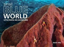 Small blue world little people big adventure