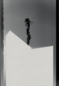 Marten lange ghost witness