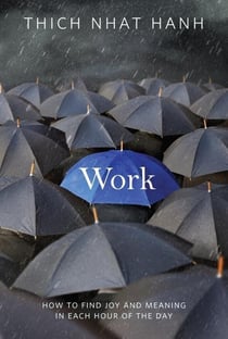 WORK - HOW TO FIND JOY AND MEANING IN EACH HOUR OF THE DAY