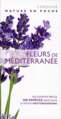 Fleurs de Méditerranée - nouvelle présentation